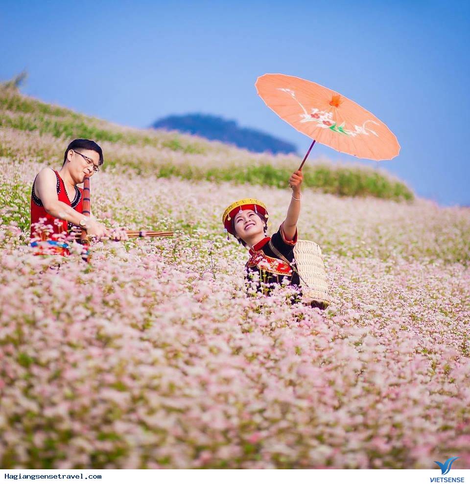 Mê mẩn với những cánh đồng hoa tam giác mạch tại Hà Giang - Ảnh 1