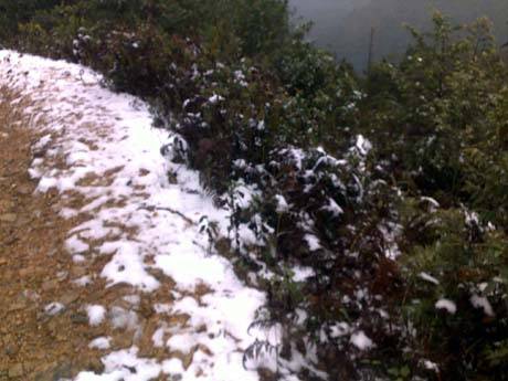 Mèo Vạc, Đồng Văn Tiếp Tục Xuất Hiện Tuyết Rơi - Ảnh 2