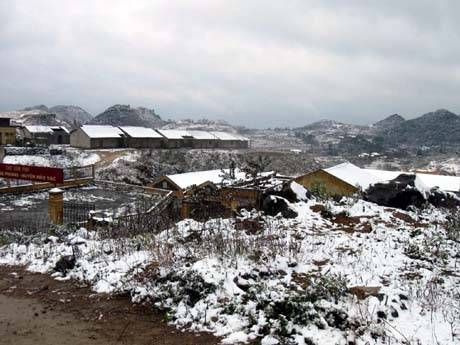 Mèo Vạc, Đồng Văn Tiếp Tục Xuất Hiện Tuyết Rơi - Ảnh 1