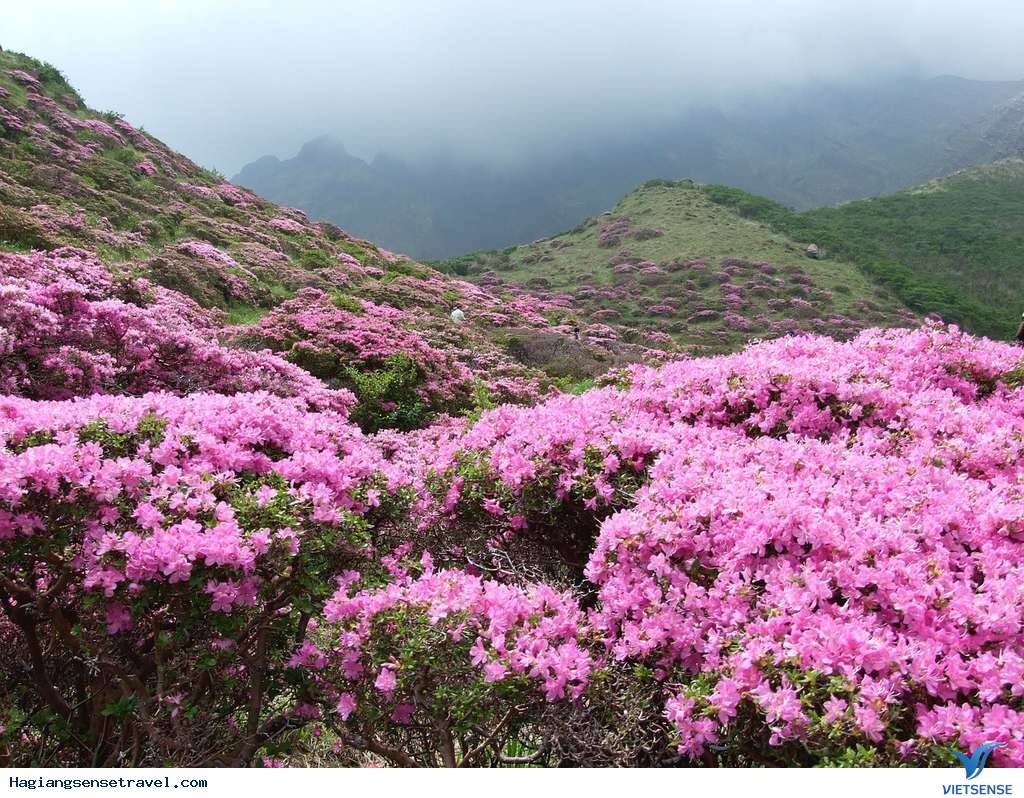 Tháng 11 đến hết tháng 1 - Ảnh 1