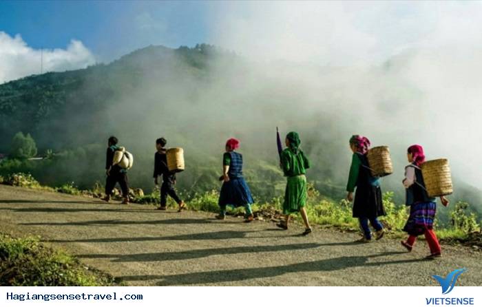 Khám phá đồi chè Tuyết San cổ thụ - Ảnh 2