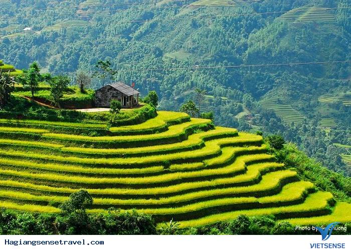 Những ruộng bậc thang kỳ vỹ - Ảnh 1