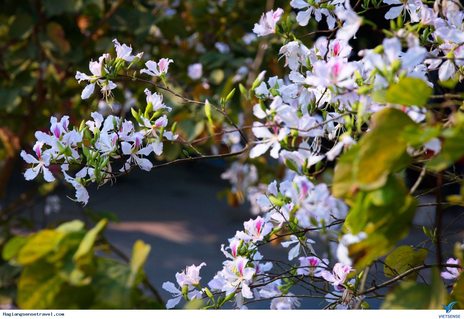 Tháng 2 đến hết tháng 4 - Ảnh 2