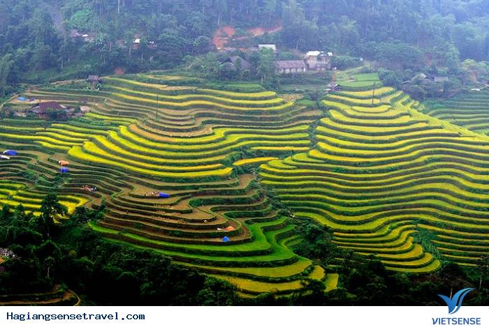 Những ruộng bậc thang kỳ vỹ - Ảnh 2