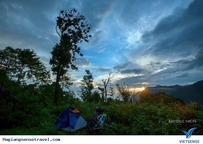 Cánh rừng nguyên sinh đại ngàn - Ảnh 1