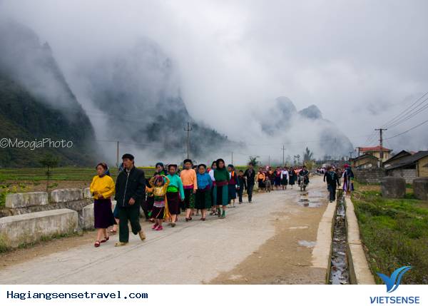 Mùa Hoa Cải Phố Cáo - Ảnh 5