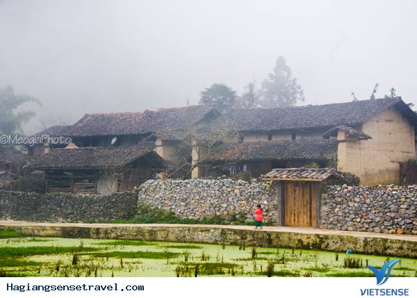 Mùa Hoa Cải Phố Cáo - Ảnh 13