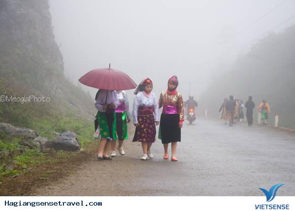 Mùa Hoa Cải Phố Cáo - Ảnh 3