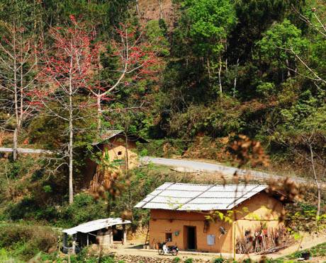 Mùa Hoa Gạo Trên Cao Nguyên Đá - Ảnh 3 Mùa Hoa Gạo Trên Cao Nguyên Đá - Ảnh 3