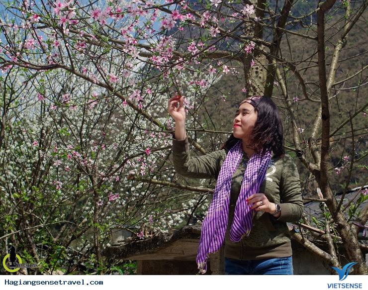 Mùa Xuân Đã Về Trên Cao Nguyên Hà Giang - Ảnh 10 Mùa Xuân Đã Về Trên Cao Nguyên Hà Giang - Ảnh 10