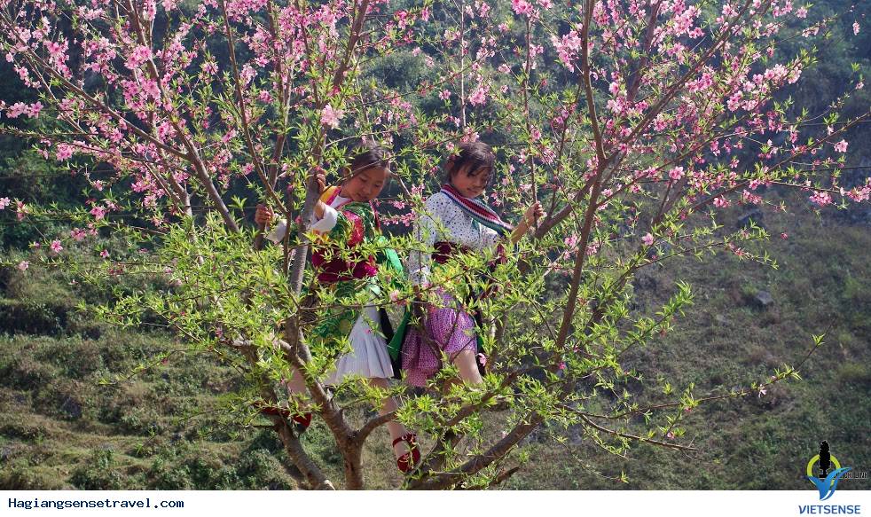 Mùa Xuân Đã Về Trên Cao Nguyên Hà Giang - Ảnh 9 Mùa Xuân Đã Về Trên Cao Nguyên Hà Giang - Ảnh 9