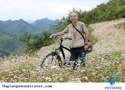 Người Nhật và Tình Yêu Vô Tận Với Vẻ Đẹp Hà Giang - Ảnh 1