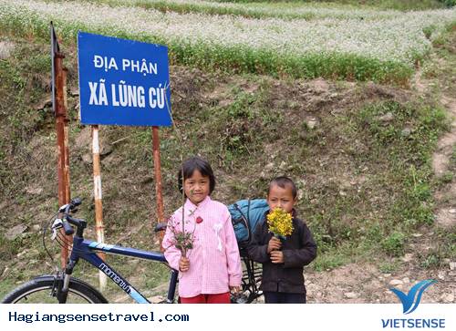 Người Nhật và Tình Yêu Vô Tận Với Vẻ Đẹp Hà Giang - Ảnh 3