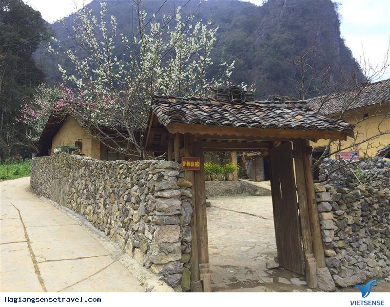 Theo chân khám phá ngôi nhà của Pao - Ảnh 4