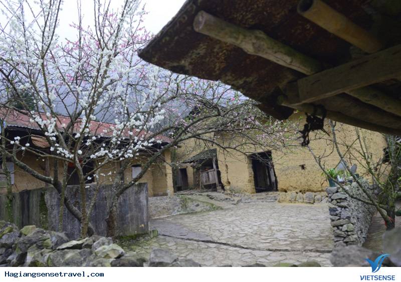 Theo chân khám phá ngôi nhà của Pao - Ảnh 2