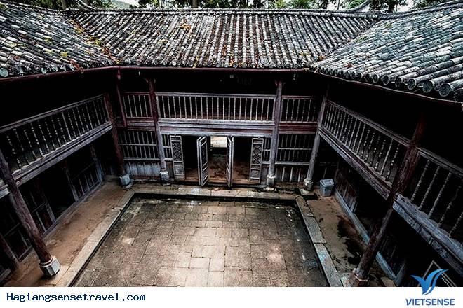 Nhà vua mèo Vương Chí Sình