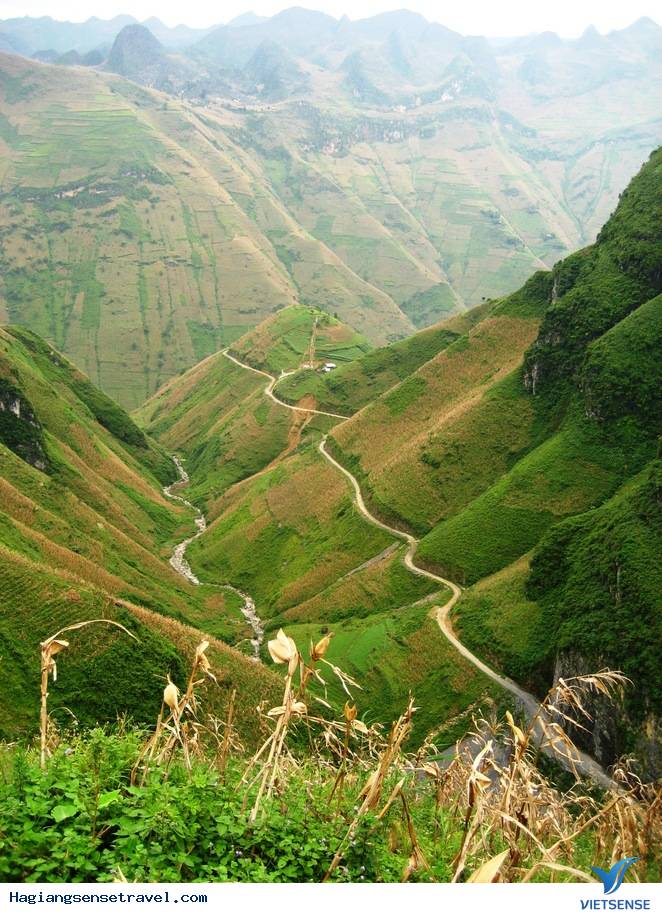 Những Con Đường Thần Tiên Ở Hà Giang - Ảnh 9