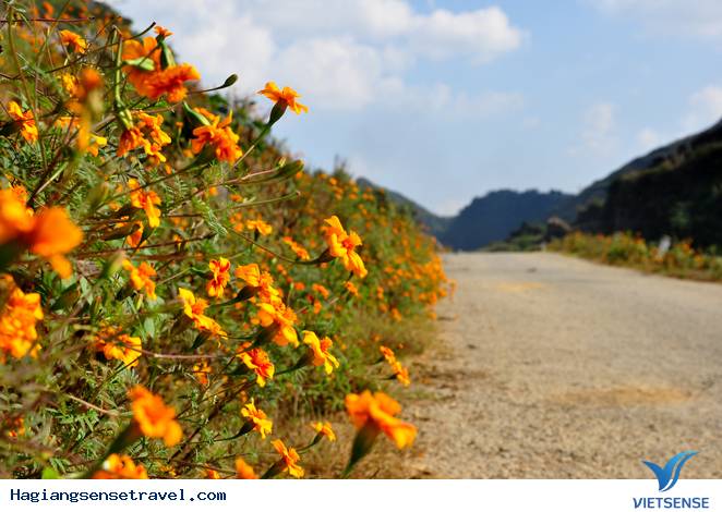 Những Con Đường Thần Tiên Ở Hà Giang - Ảnh 2