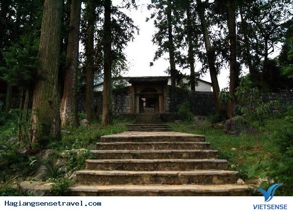 Dinh vua Mèo Dinh vua Mèo