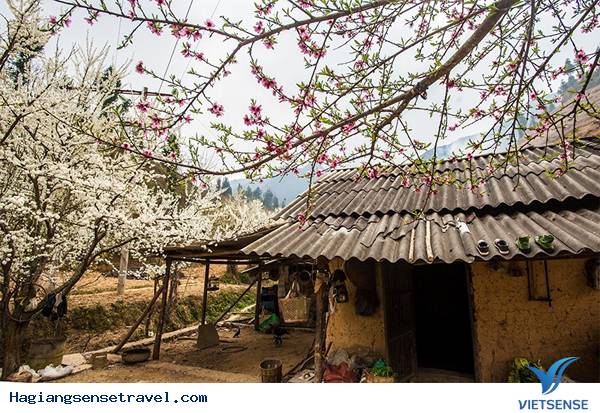 Những Điểm Đến Hấp Dẫn Ở Miền Bắc Vào Mùa Đông - Ảnh 1 Những Điểm Đến Hấp Dẫn Ở Miền Bắc Vào Mùa Đông - Ảnh 1