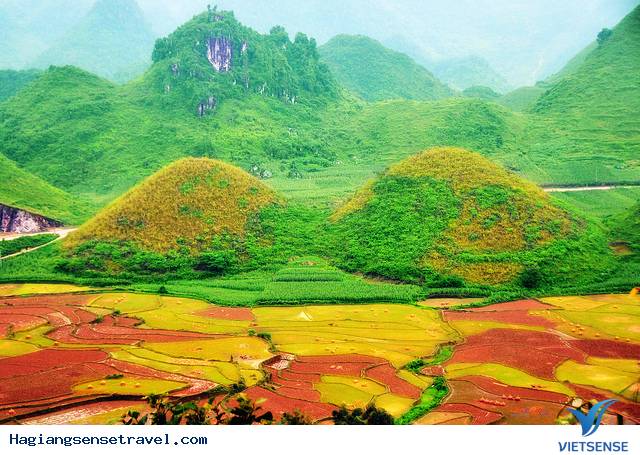 Những Điểm Đến Không Nên Bỏ Qua Khi Du Lịch Hà Giang - Ảnh 7 Những Điểm Đến Không Nên Bỏ Qua Khi Du Lịch Hà Giang - Ảnh 7