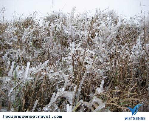 Những Điểm Ngắm Băng Tuyết Đẹp Nhất Việt Nam - Ảnh 2 Những Điểm Ngắm Băng Tuyết Đẹp Nhất Việt Nam - Ảnh 2