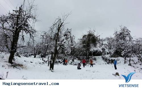 Những Điểm Ngắm Băng Tuyết Đẹp Nhất Việt Nam - Ảnh 1 Những Điểm Ngắm Băng Tuyết Đẹp Nhất Việt Nam - Ảnh 1