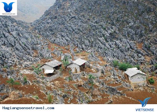 Cao nguyên đá Đồng Văn. Cao nguyên đá Đồng Văn.