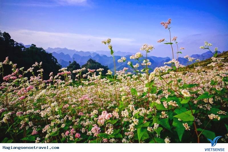 Thông tin điểm đến - Ảnh 1