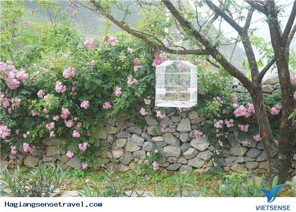 Nhà văn hóa Lô Lô - Ảnh 2 Nhà văn hóa Lô Lô - Ảnh 2