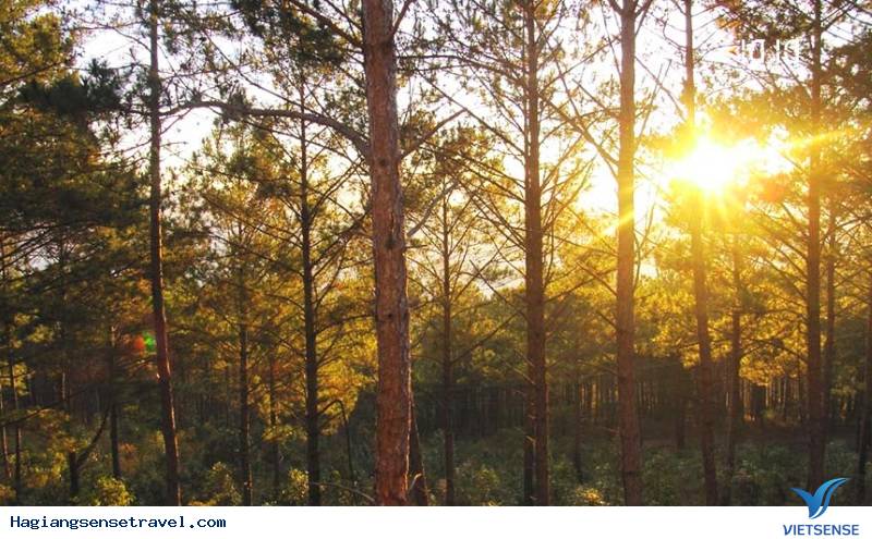 Những Khung Cảnh Nhất Định Không Được Bỏ Lỡ Khi Tới Hà Giang - Ảnh 3