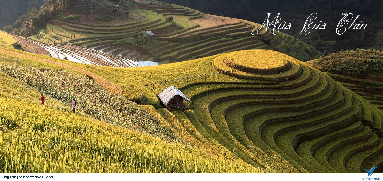 Những Trải Nghiệm Thú Vị Chỉ Có Ở Hà Giang - Ảnh 3 Những Trải Nghiệm Thú Vị Chỉ Có Ở Hà Giang - Ảnh 3