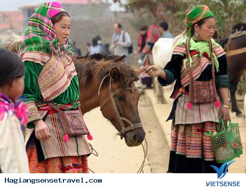 Phiên chợ ngựa ở vùng Tây Bắc - Ảnh 2