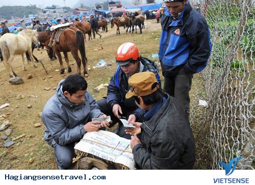 Phiên chợ ngựa ở vùng Tây Bắc - Ảnh 3