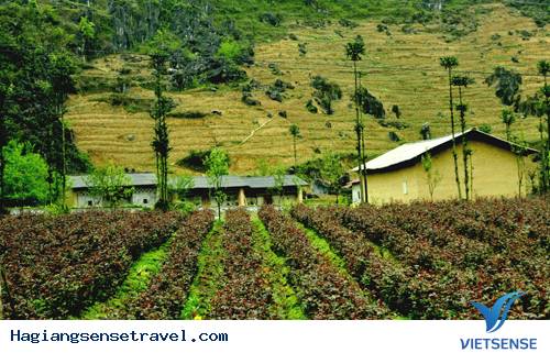 Phó Bảng Yên Bình Giữa Cao Nguyên Đá Hà Giang - Ảnh 1 Phó Bảng Yên Bình Giữa Cao Nguyên Đá Hà Giang - Ảnh 1