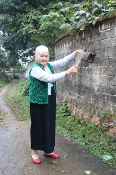 Tục gọi trâu về ăn Tết của người Mường