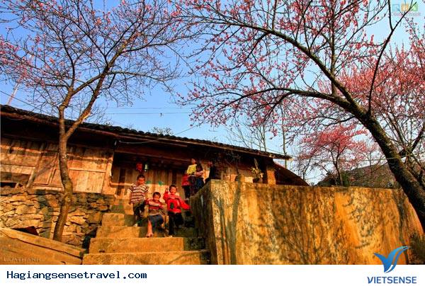 Cao nguyên đá Đồng Văn - Ảnh 3