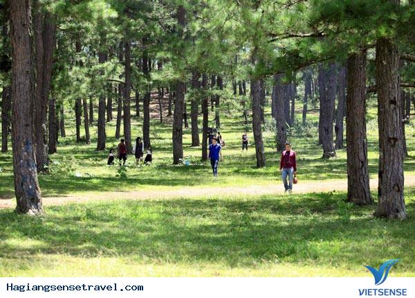 Cao nguyên Lâm Viên và Di Linh - Ảnh 2