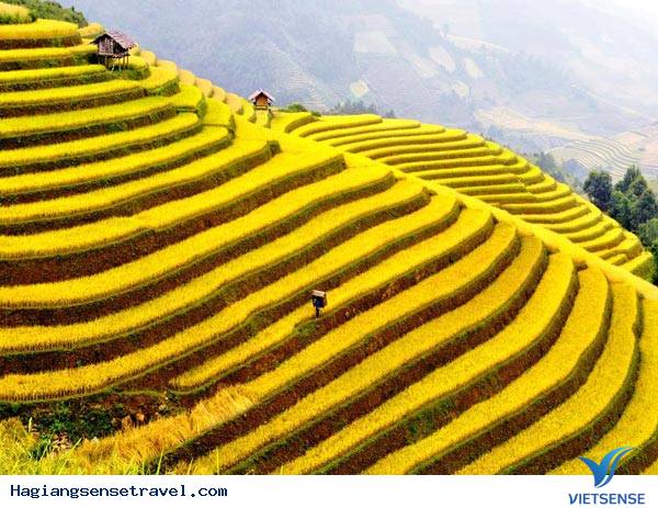 Cao nguyên Bắc Hà - Ảnh 1