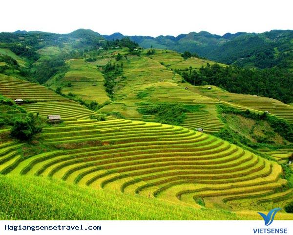 Cao nguyên Sín Chải - Ảnh 1