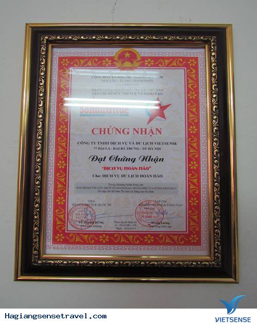 Quá Trình Hình Thành Và Phát Triển Của Công Ty Vietsense - Ảnh 3