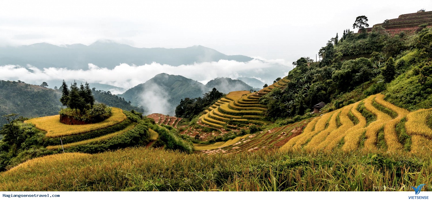 Ruộng bậc thang Hoàng Su Phì