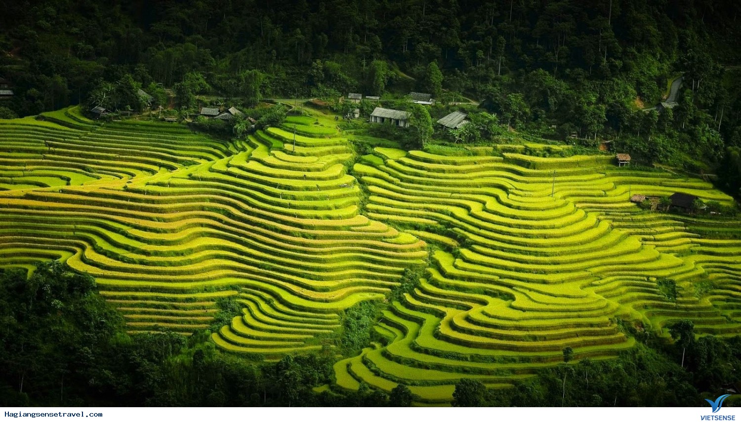 Ruộng Bậc Thang Nhìn từ xa Ruộng Bậc Thang Nhìn từ xa