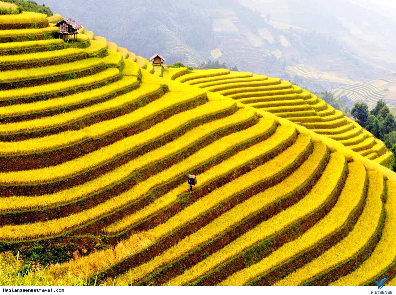 Ruộng Bậc Thang Tuyệt Đẹp Ở Hà Giang - Ảnh 7