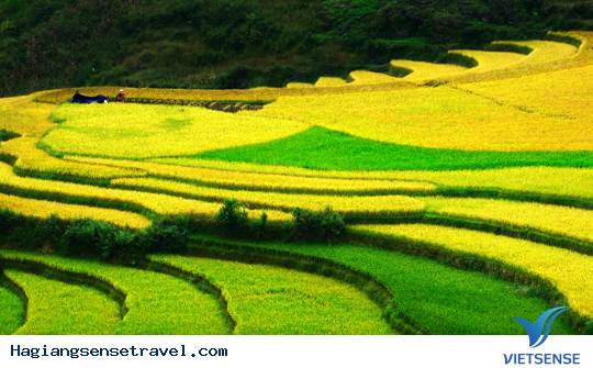 Ruộng Bậc Thang Tuyệt Đẹp Ở Hà Giang - Ảnh 1
