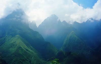 Rượu Ngô Thanh Vân - Ảnh 1 Rượu Ngô Thanh Vân - Ảnh 1