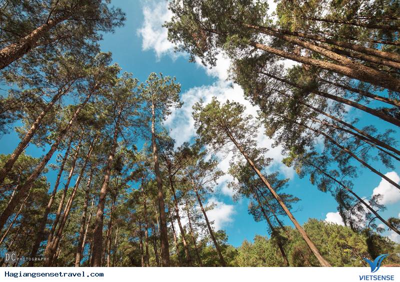 Tận Mắt Ngắm Nhìn Vẻ Đẹp Hà Giang - Vùng Đất Địa Đầu Tổ Quốc - Ảnh 6