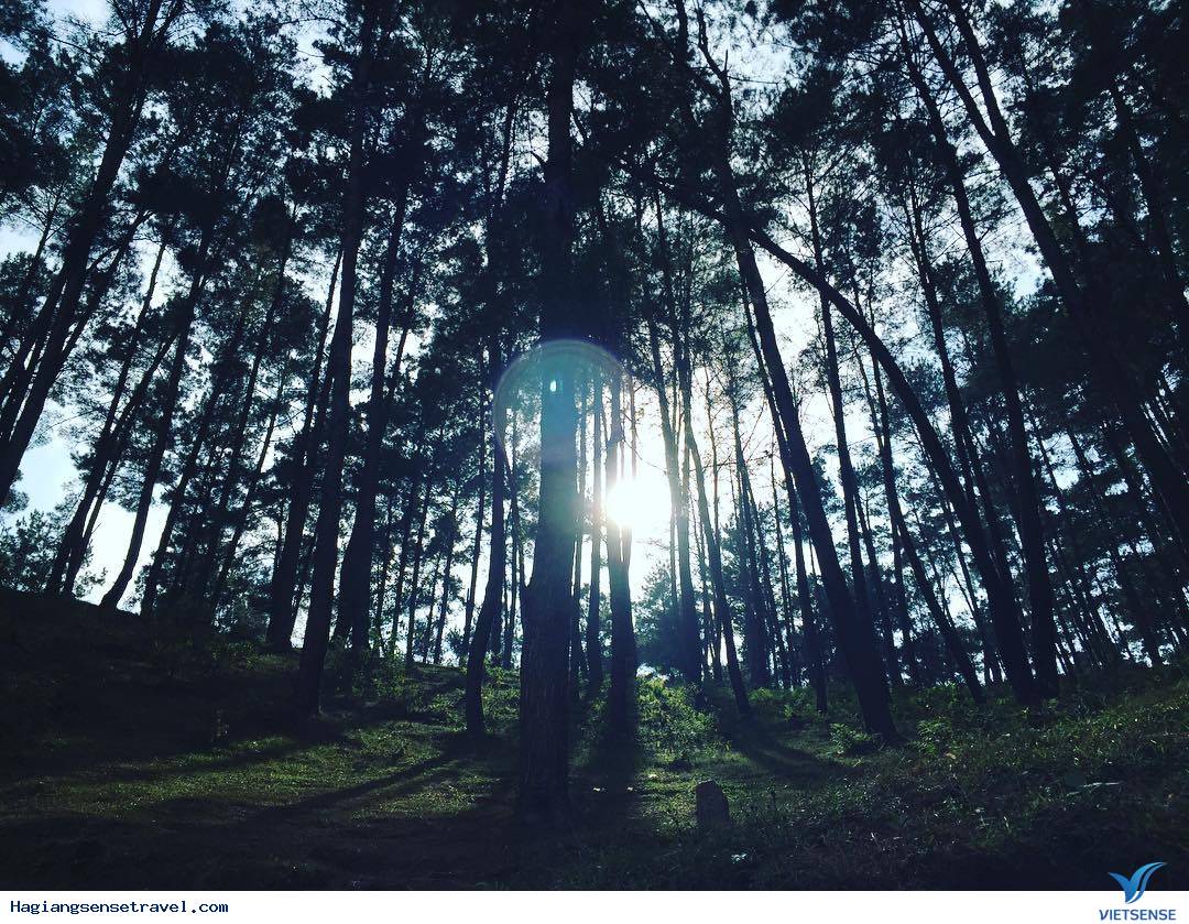 Tận Mắt Ngắm Nhìn Vẻ Đẹp Hà Giang - Vùng Đất Địa Đầu Tổ Quốc - Ảnh 7