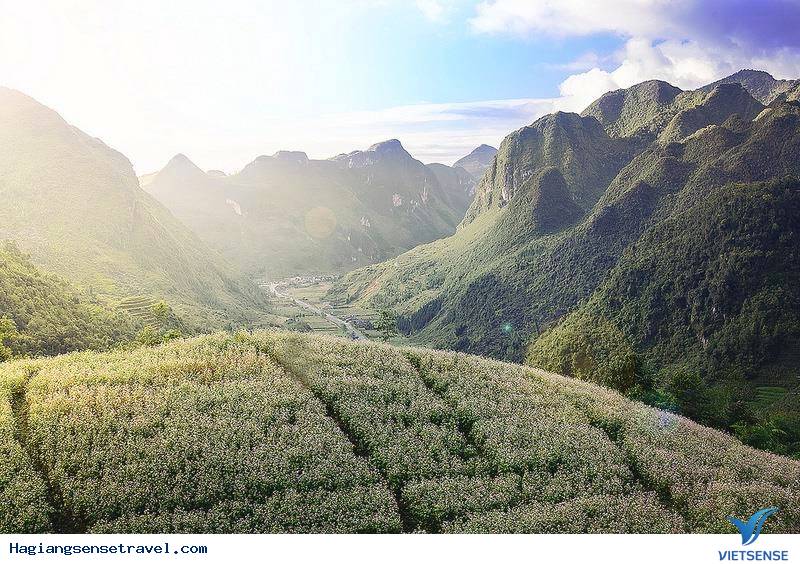 Thăm trấn cổ Phó Bảng tháng 9 mùa thu đẹp đến nao lòng - Ảnh 3 Thăm trấn cổ Phó Bảng tháng 9 mùa thu đẹp đến nao lòng - Ảnh 3