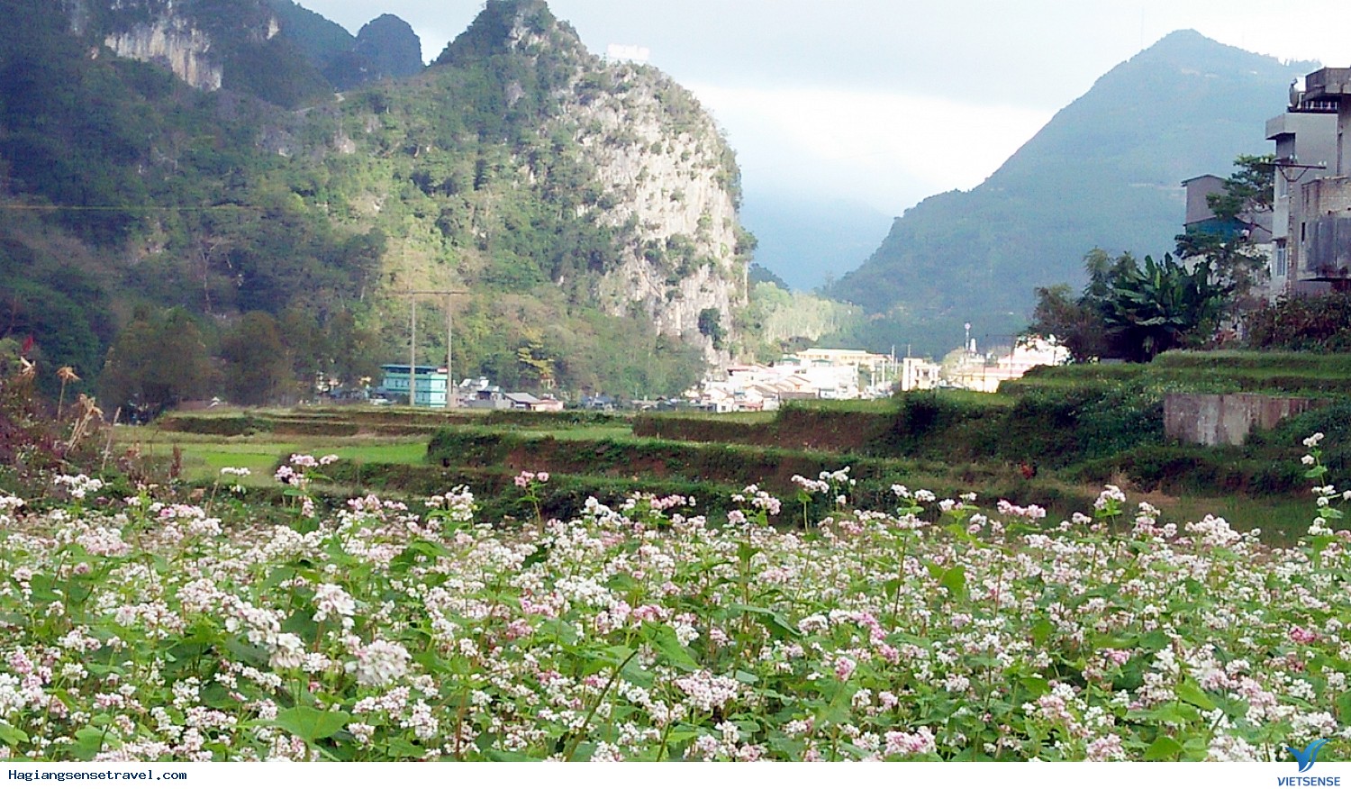 “Thị trấn ngủ quên” Phó Bảng